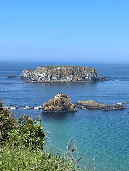 Picture 4 for Activity Carrick A Rede Ropebridge & Giant’s Causeway Private Tour 3