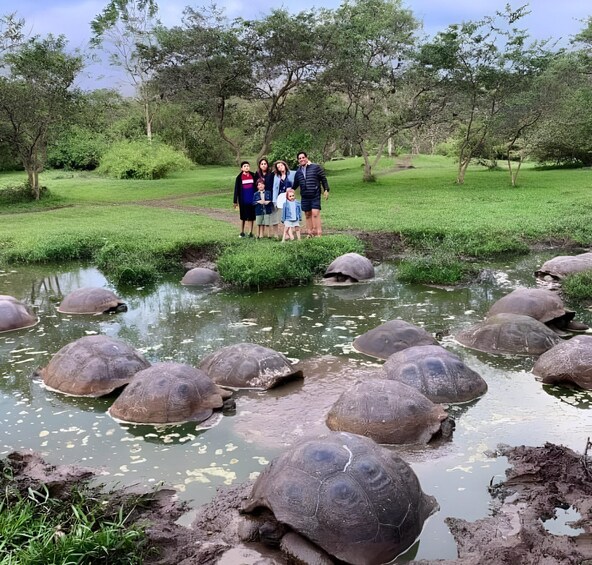 A group of people standing by a pond with several large turtles. 5