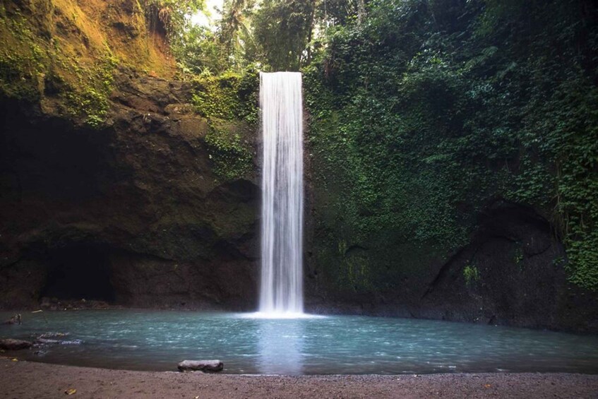 A waterfall cascading into a clear pool surrounded by lush greenery. 4