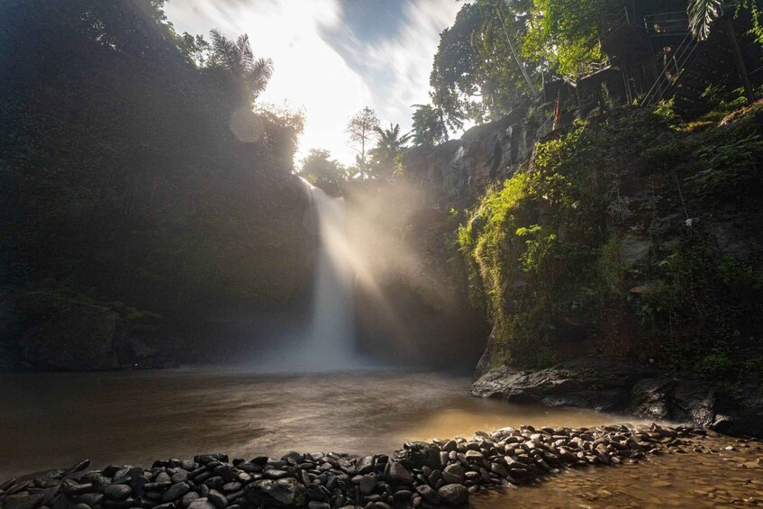 A waterfall in a forested area with sunlight filtering through the trees. 1