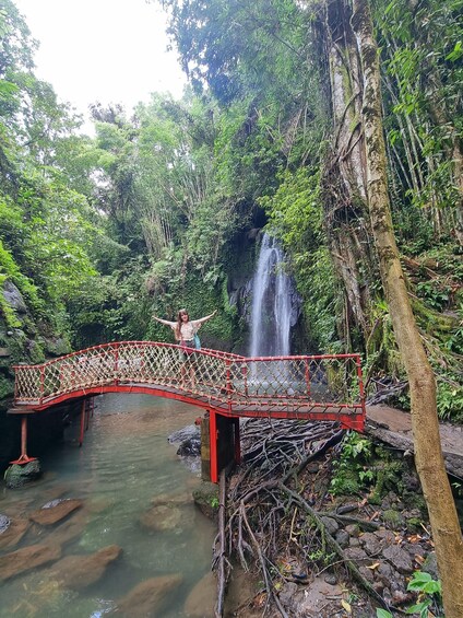 A red bridge over a clear stream with a waterfall in the background. 2