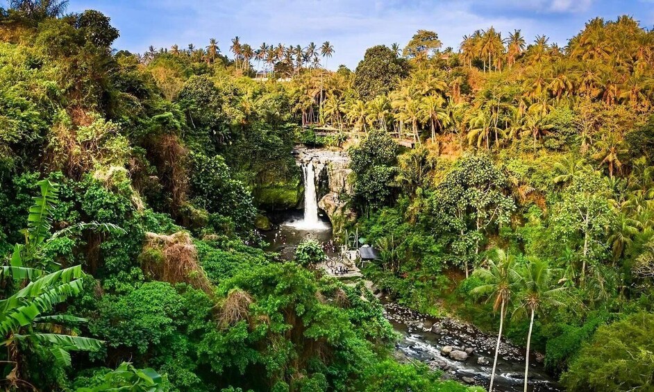 A waterfall surrounded by dense tropical vegetation and palm trees. 5