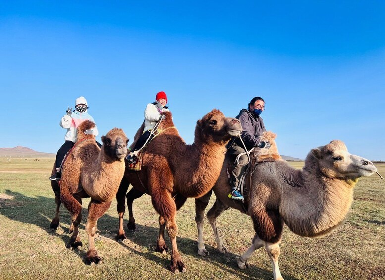 A group of people riding camels in a grassy field. 5