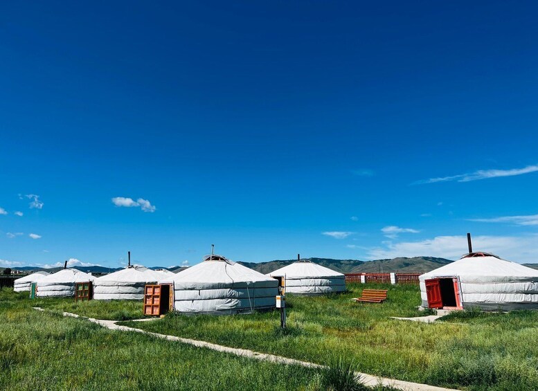 A row of white yurts with red doors in a grassy field under a clear blue sky. 1