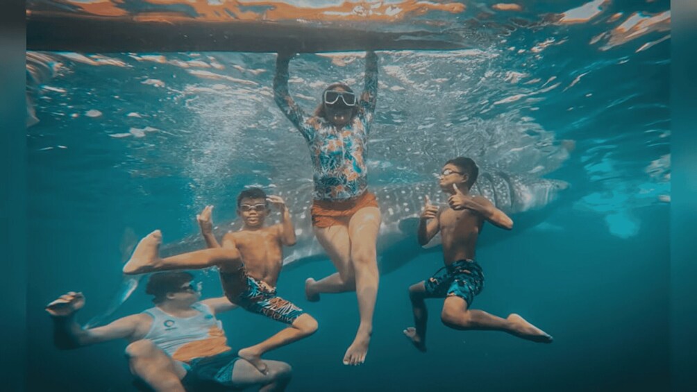 Picture 11 for Activity Cebu: Oslob Whale Shark and Canyoneering Group Tour 2