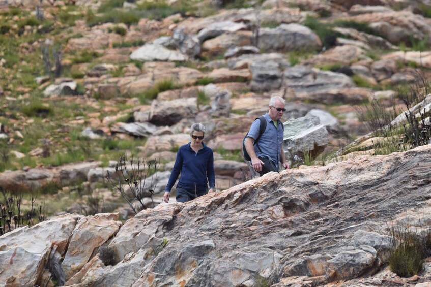 Picture 4 for Activity Swartberg: Half Day Hiking Adventure 5