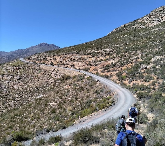 Picture 2 for Activity Swartberg: Half Day Hiking Adventure 4
