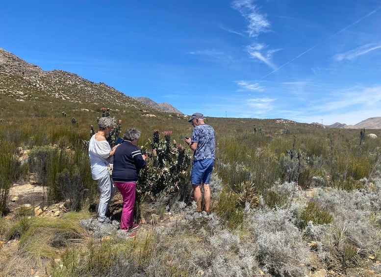 Picture 3 for Activity Swartberg: Half Day Hiking Adventure 2