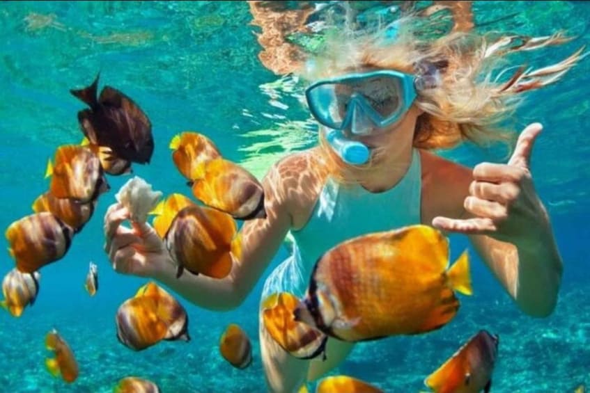 A person snorkeling underwater surrounded by colorful fish. 2