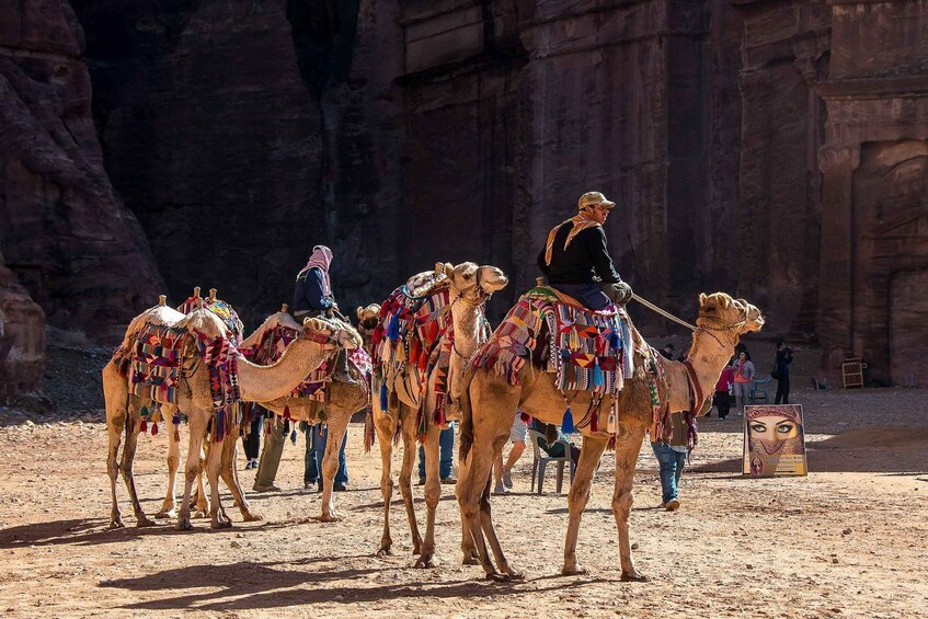 Picture 16 for Activity From Swemeh/Dead Sea: Private Full-Day Petra Tour 3