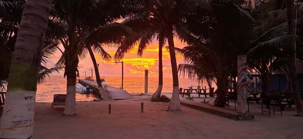 A beach with palm trees, a wooden pier, and a sunset. 1