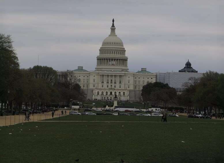 Picture 2 for Activity Washington D.C.: Comedy Walks Stand-Up Comedy Show 4