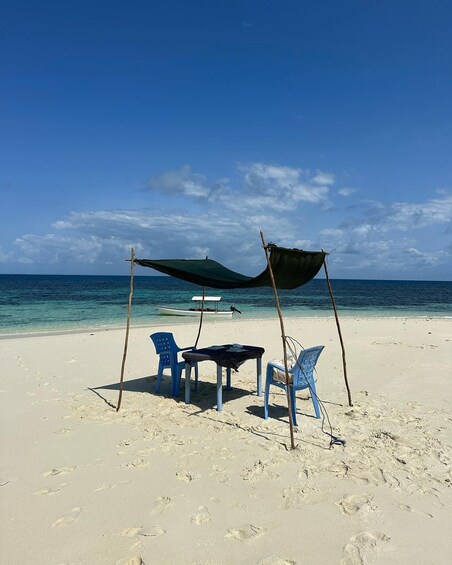 Picture 7 for Activity Pungume beach, sandbank BBQ and snorkeling 5