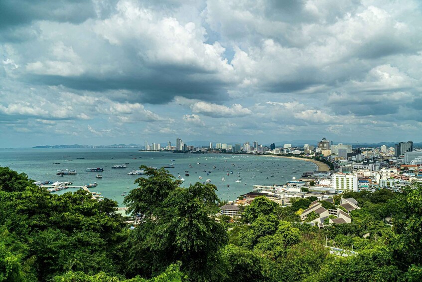 A coastal cityscape with a dense urban area, a bay filled with boats, and a backdrop of lush greenery. 5