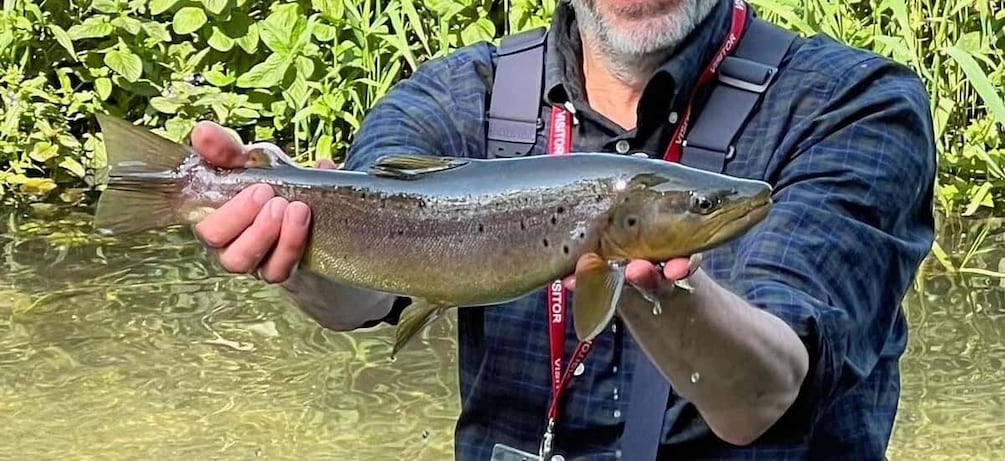 All inclusive Chiltern Fly Fishing Safari on the River Chess 1
