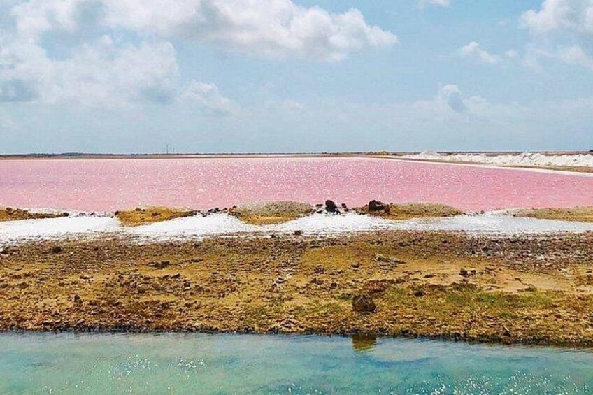 A pink salt flat with a clear blue water body in the foreground. 1