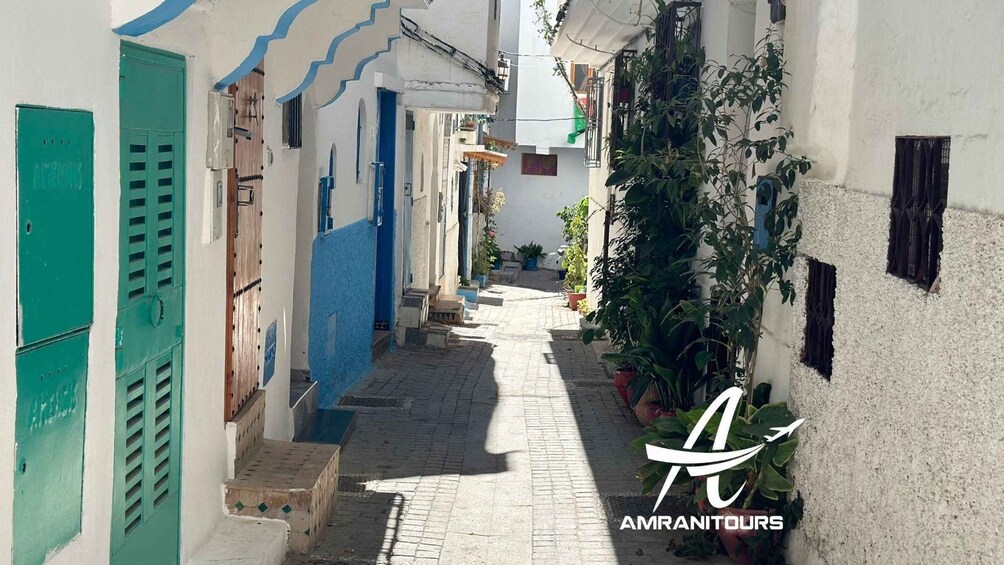 A narrow alleyway with white and blue buildings, green shutters, and potted plants. 5