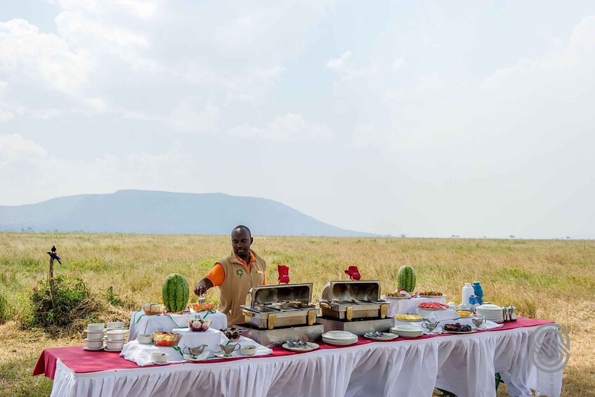 A buffet table set up in an open field with mountains in the background. 2