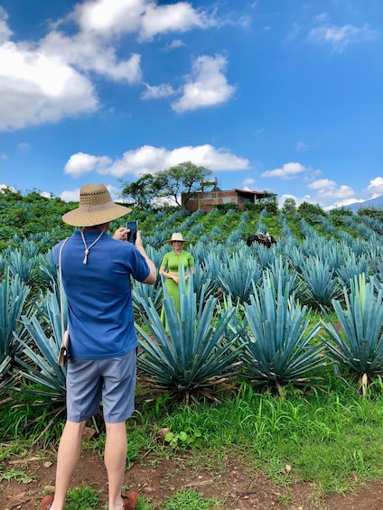 Tequila and Guachimontones: Private Full Day Tour 1