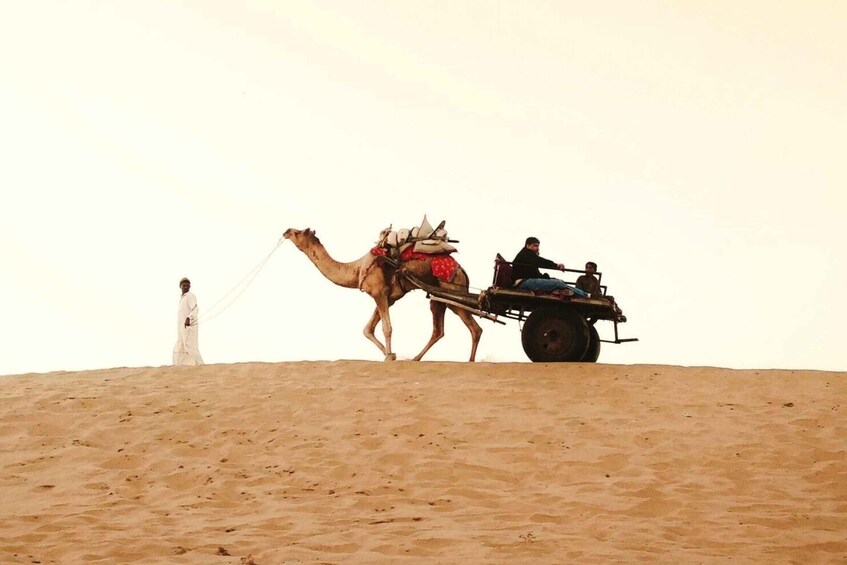 A camel pulling a cart on a sandy dune with a person leading it. 1