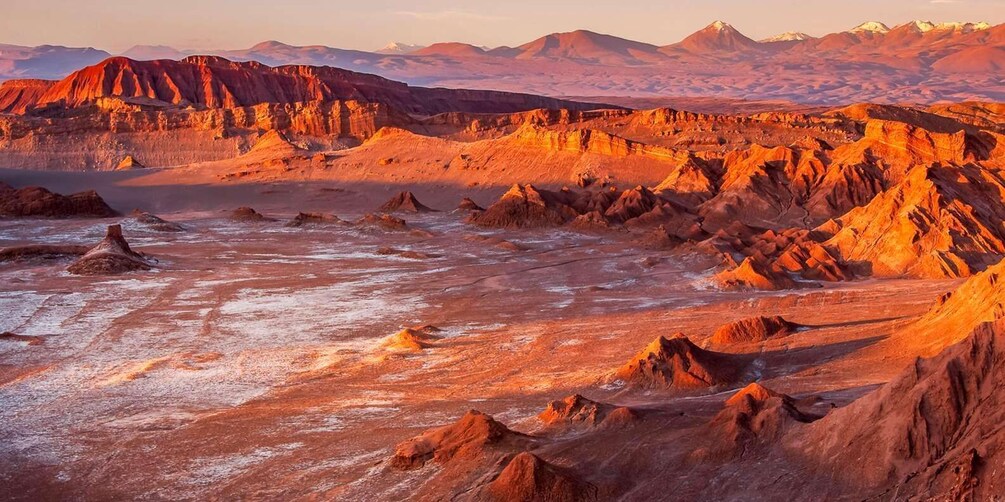 Un paysage désertique caractérisé par des formations rocheuses rouges et, au loin, des montagnes aux sommets enneigés. 1