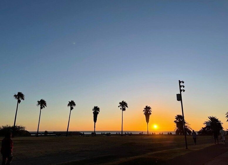 A sunset over a beach with palm trees and people walking. 5