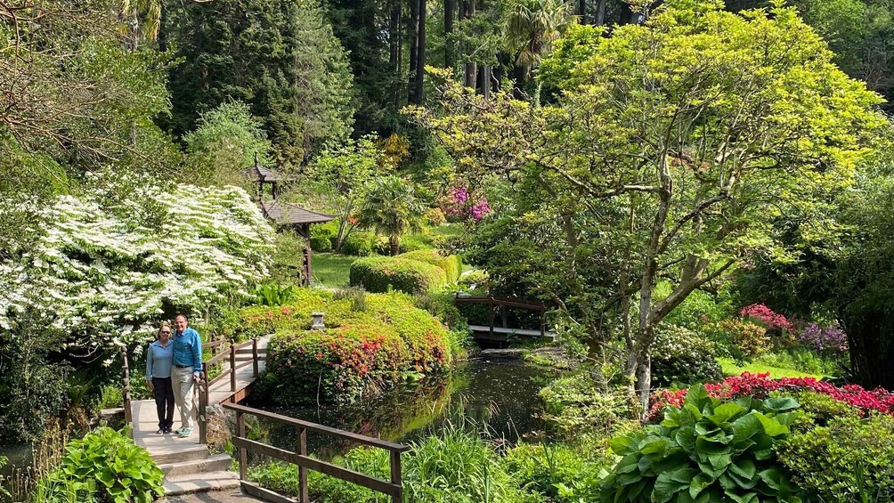 A garden with a wooden bridge, lush greenery, and a pond. 5