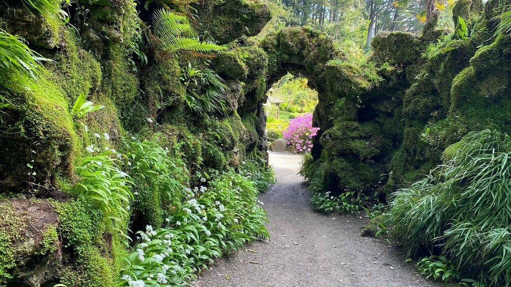 A moss-covered rock archway in a lush garden. 2