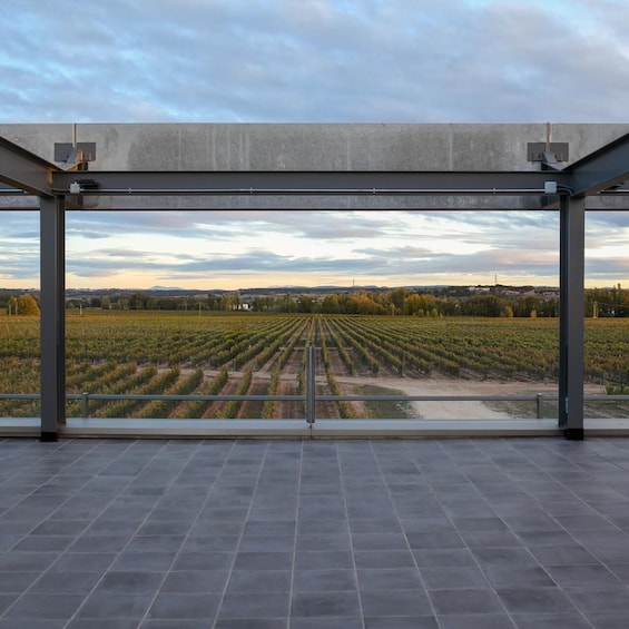 Aranda de Duero: Martín Berdugo Winery - Tour and Tasting 2