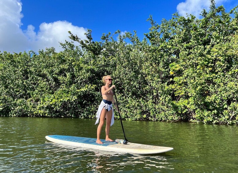 Picture 7 for Activity Kauai: SUP and Kayak Rentals 3
