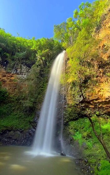 Picture 4 for Activity Kauai: SUP and Kayak Rentals 5