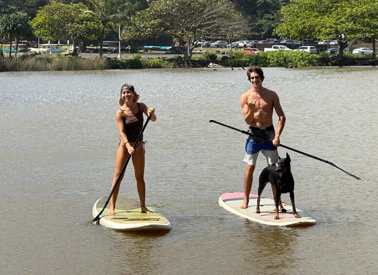 Picture 6 for Activity Kauai: SUP and Kayak Rentals 4