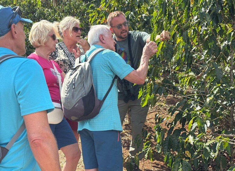A group of people in a coffee plantation. 3