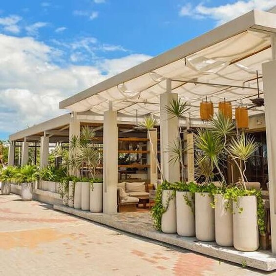 Picture 6 for Activity Upscale Food Tour in Santa Marta: A Culinary Journey 3