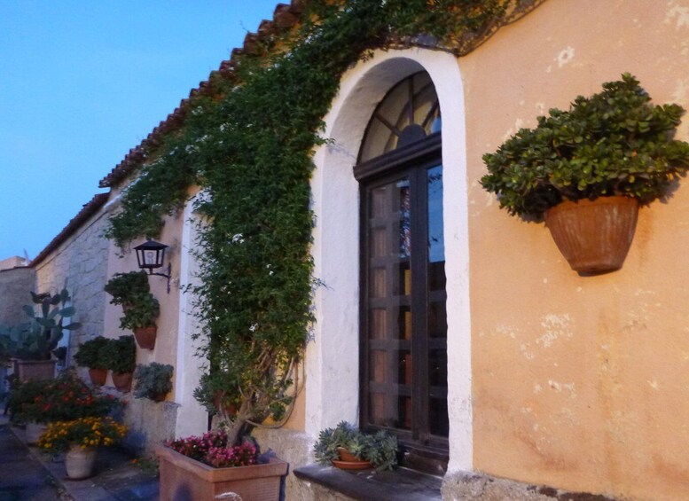 A building with a tiled roof, arched windows, and potted plants. 5