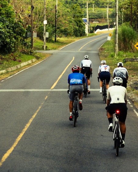 A group of cyclists on a road with greenery on both sides. 5