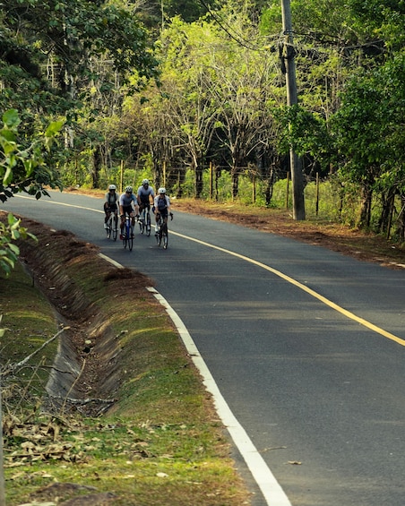 A group of cyclists on a paved road surrounded by trees and vegetation. 2