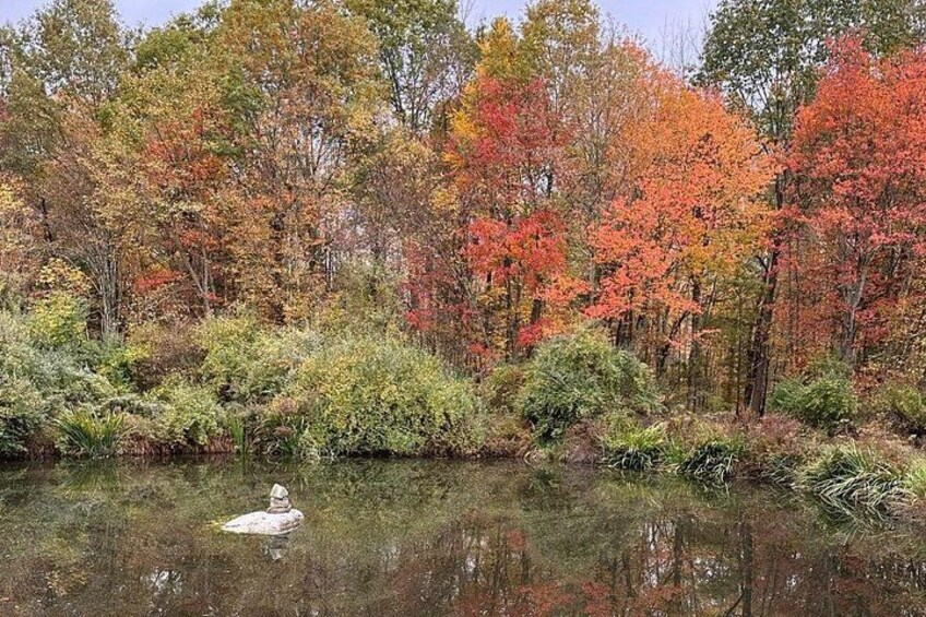 45 Minute Scenic Horseback Trail Ride 2