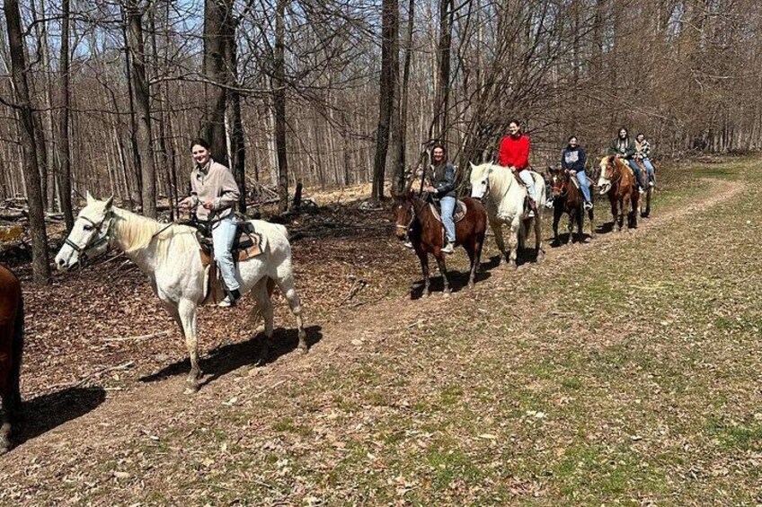 45 Minute Scenic Horseback Trail Ride 5