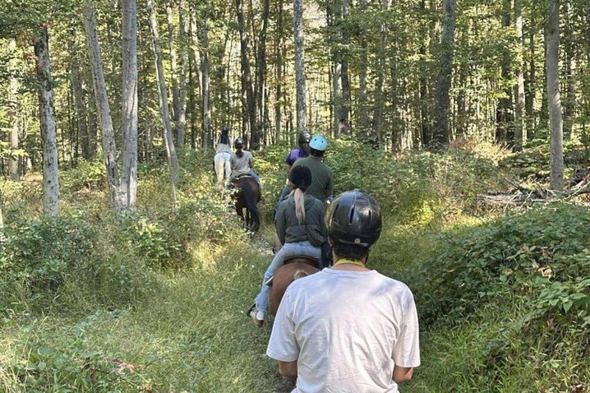45 Minute Scenic Horseback Trail Ride 4