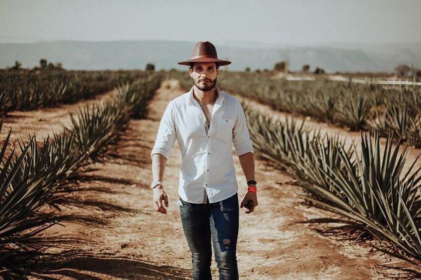 Private Tour to Tequila 1