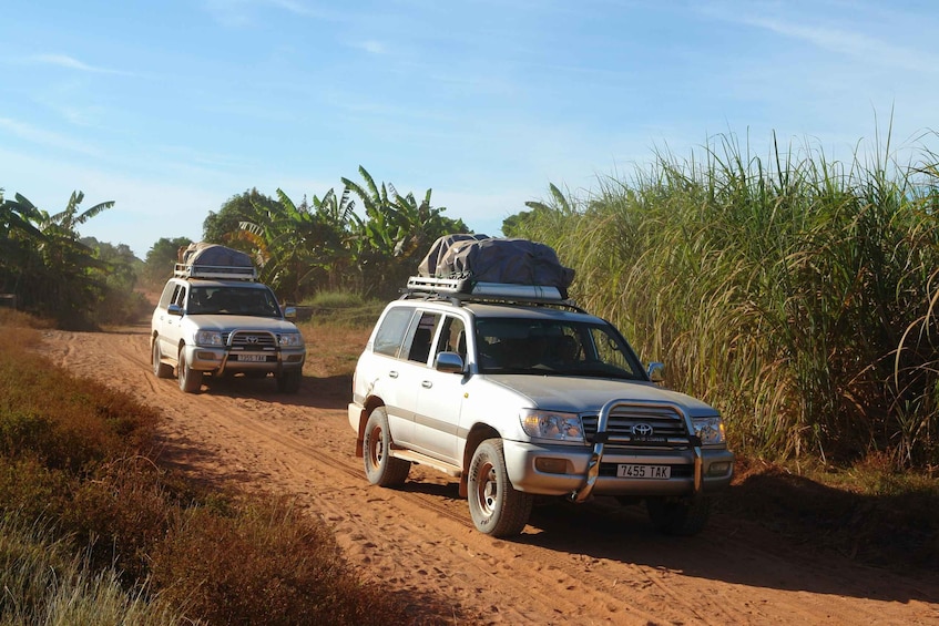 Fort Dauphin: Day trip to the territory of the dancing lemurs 1