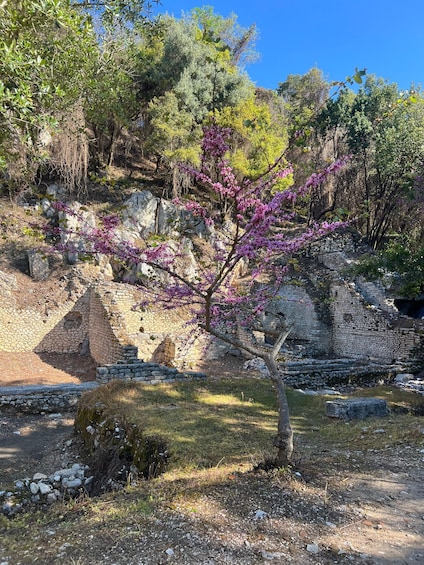 A stone wall with a tree in bloom. 2