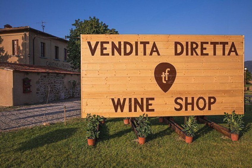 Private Tasting of Organic Wines in the Cellar in Mugliano 5