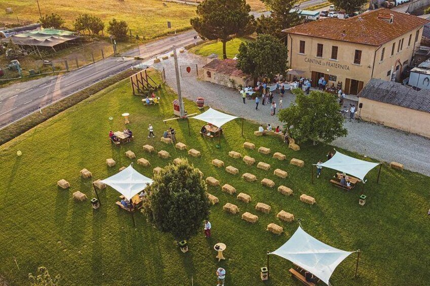 Private Tasting of Organic Wines in the Cellar in Mugliano 4