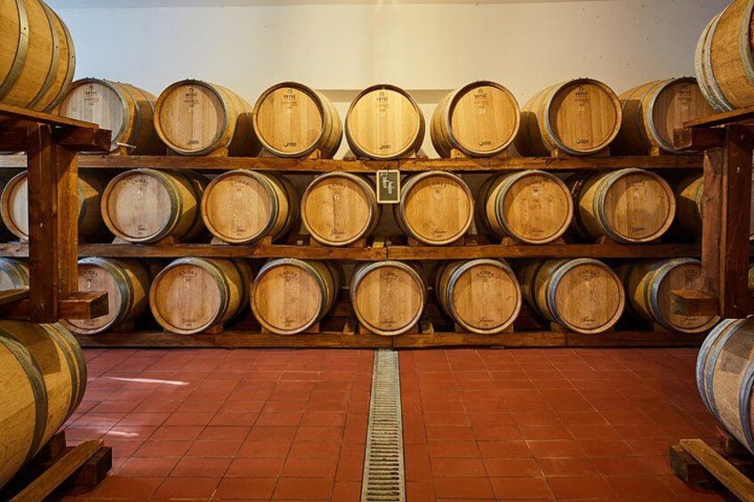 Private Tasting of Organic Wines in the Cellar in Mugliano 3