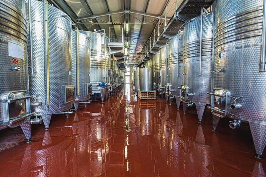 Private Tasting of Organic Wines in the Cellar in Mugliano 3
