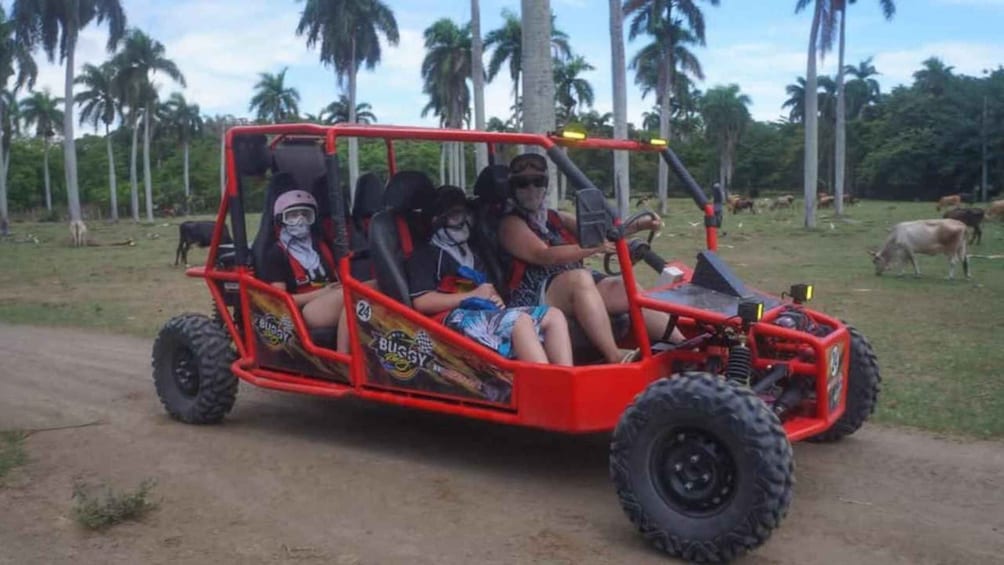 A red off-road vehicle with four passengers on a dirt road surrounded by palm trees. 5