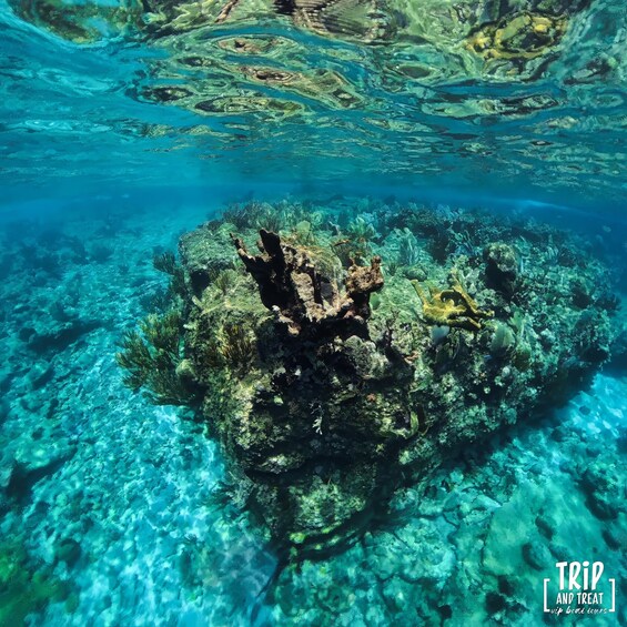 Picture 12 for Activity Willemstad: Private Boat Tour with Snorkeling and Swimming 5