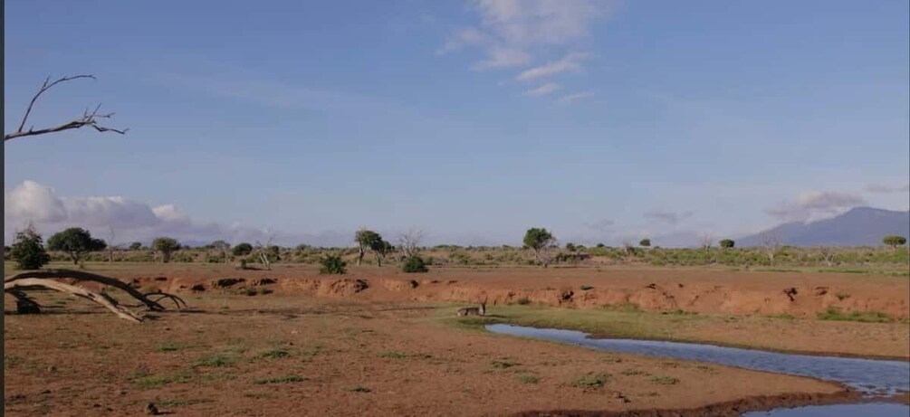 Picture 3 for Activity Kenya: 1-Day Safari Adventure with Transfers 5